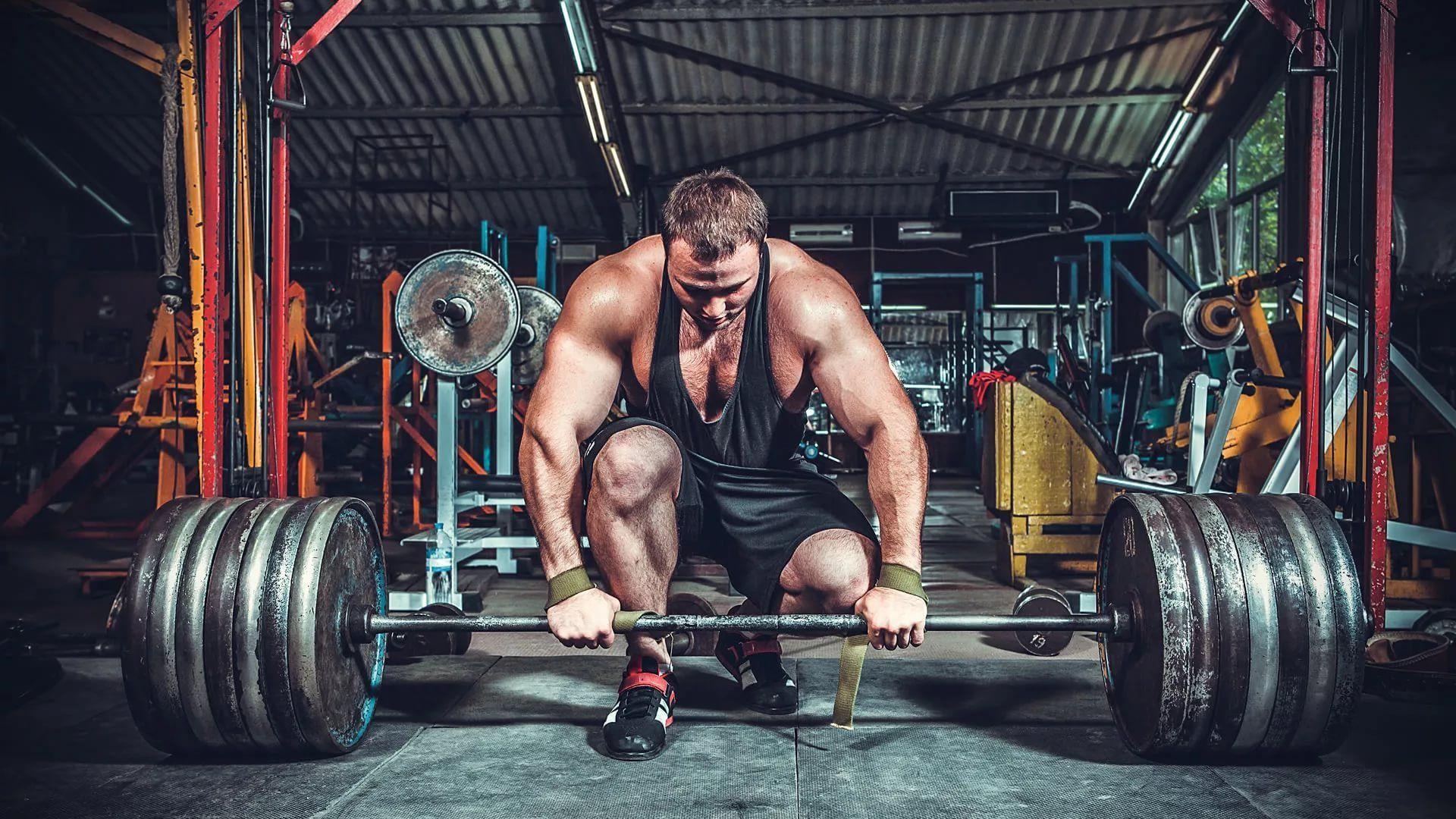 A One-Year Powerlifting Plan for Beginners to Advanced Lifters - PRO WOLF